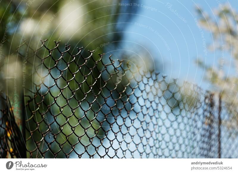 Rusty alten Mesh-Käfig im Garten mit grünen Bäumen und blauem Himmel als Hintergrund. Stahl-Eisen-Metall-Zaun mit Maschendraht im Hinterhof, Sicherheit Grenze. Unscharfer Blick auf die Landschaft. Sicherheit Grenze Gitter