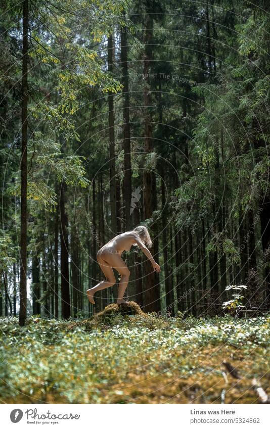 Diese Wälder sind mit wunderschönen wilden und nackten Kreaturen durchstreift. Genau wie dieses nackte blonde Mädchen, das in der Wildnis herumalbert. Ein sonniger Sommertag und eine sexy Schönheit in einem Wald.