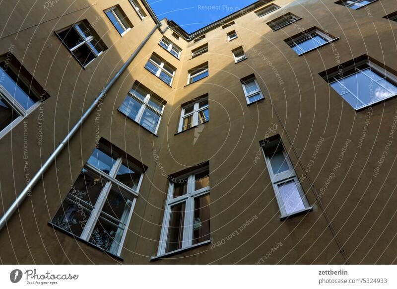 Frosch im Hinterhof altbau außen brandmauer fassade fenster haus himmel himmelblau hinterhaus hinterhof innenhof innenstadt kiez mehrfamilienhaus menschenleer