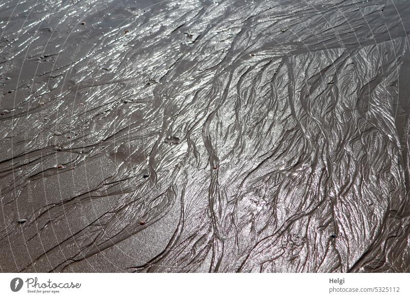 Sandstrukturen im nassen Sand bei Ebbe am Strand Nordseeküste Muster Strukturen Sonnenlicht Reflexion Küste Wattenmeer Gezeiten Schlick Schlamm Sommer Erholung