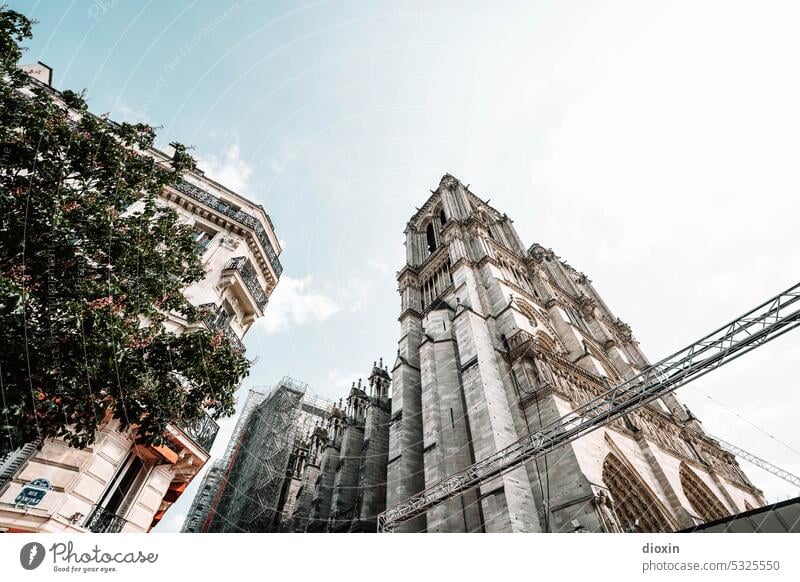 Notre Dame de Paris blessée (1) Frankreich Hauptstadt Architektur architecture Monument Architekturfotografie Farbfoto Wahrzeichen Denkmal Sehenswürdigkeit