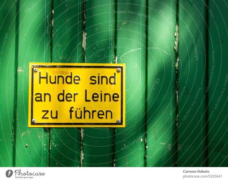 gelbes Schild mit der Aufschrift Hunde sind an der Leine zu führen aus grünem Untergrund Hund Hunde Tier Leinenpflicht anleinen Hinweisschild Haustier