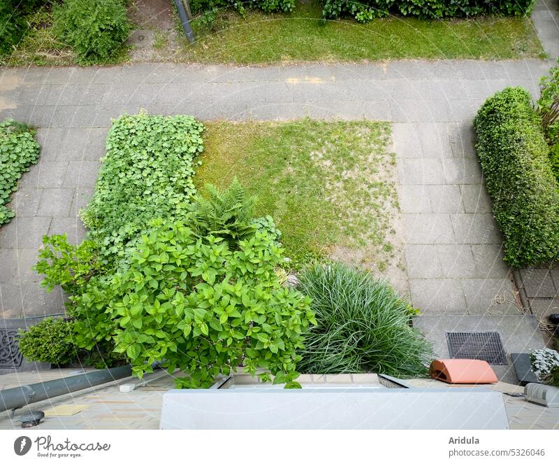 Reihenhausvorgarten aus der Vogelperspektive Vorgarten Garten Rasen grün Pflanzen Buchsbaum Haus Fassade Außenaufnahme Sträucher Eingang Hauseingang