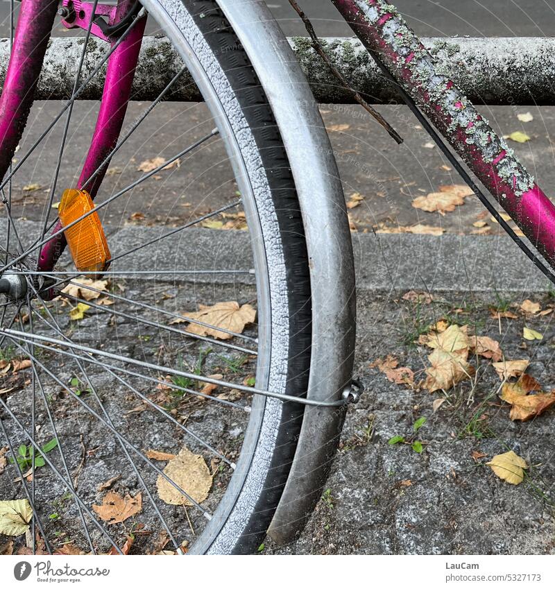 Schon lange unbewegt - Moos wächst auf einem Fahrrad Rad bewachsen Fahrradständer eins mit der Natur parken Verkehrsmittel Mobilität verwildert stehengeblieben