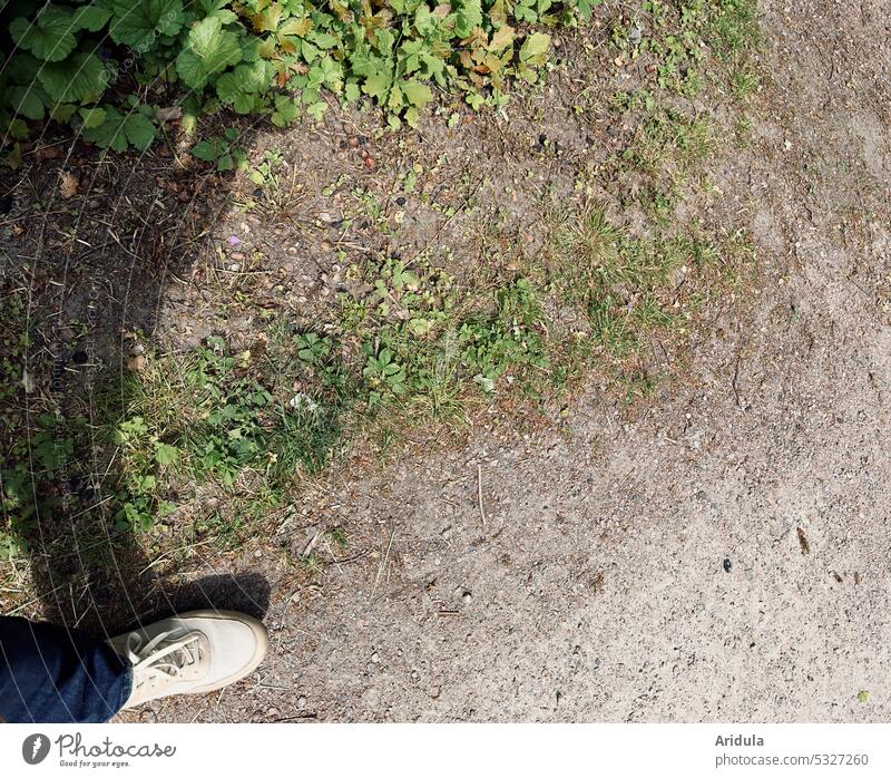 Schuh, Schatten und Weg gehen laufen Mensch Wege & Pfade Straße Spaziergang Fußgänger Pflanzen Wildwuchs Unkraut