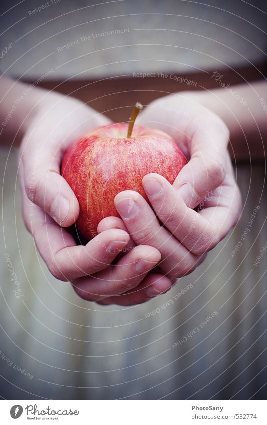 Äpfelchen, Äpfelchen... Apfel Mensch Hand Finger 1 hell kalt retro braun rot Schneewittchen Märchen Farbfoto Außenaufnahme Nahaufnahme Dämmerung Unschärfe