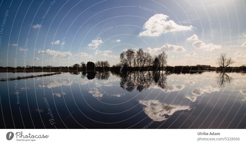 Hochwasser im Teufelsmoor bei Worpswede Deutschland Bremen Osterholz-Scharmbeck Landschaft Moor Natur Ferien & Urlaub & Reisen mystisch Erholung Außenaufnahme