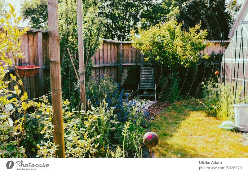 Lieblingsplatz im Garten Gewächshaus Salbei Salbeiblüte Tonkugel Sichtschutzwand Grün Idyllisch grün Botanik Grünpflanze Natur Verwildert Alter Gartenstuhl