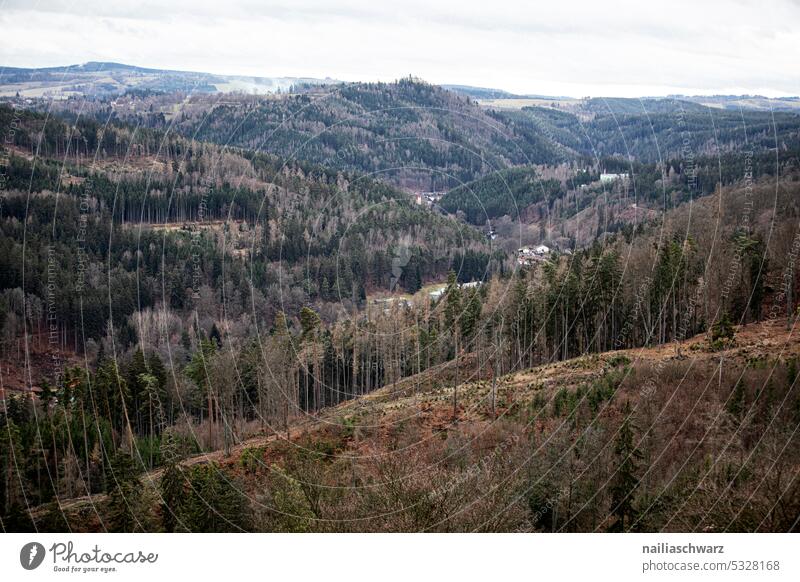 Karlsbad Zentralperspektive Tag Außenaufnahme Stadt Kleinstadt Leben kreativ Winter Winterurlaub Tourismus Sehenswürdigkeit alt Natur Wald Waldgebiet Aussicht