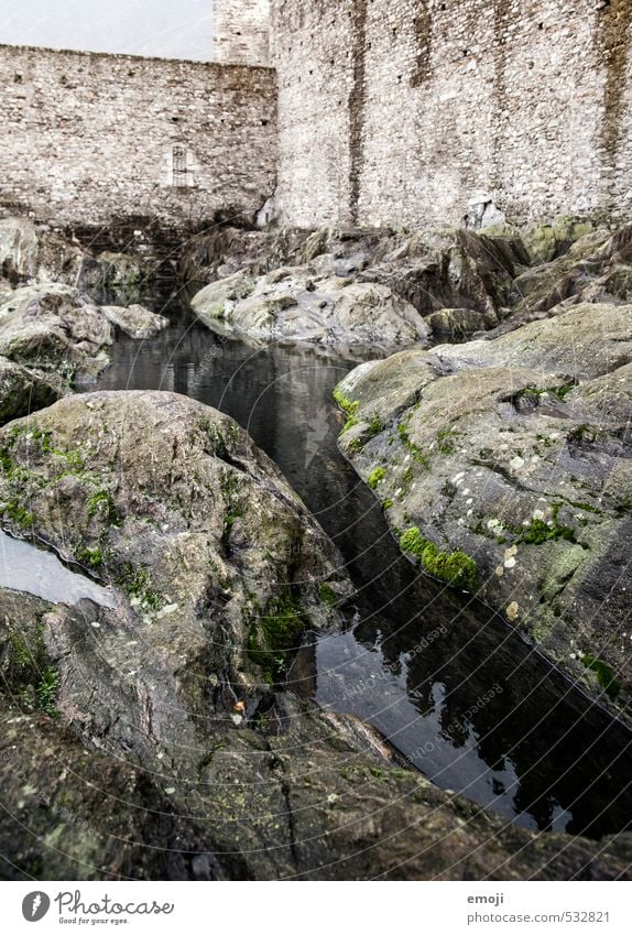 Mauer Urelemente Felsen See Bach Stein natürlich grau Farbfoto Gedeckte Farben Außenaufnahme Menschenleer Tag