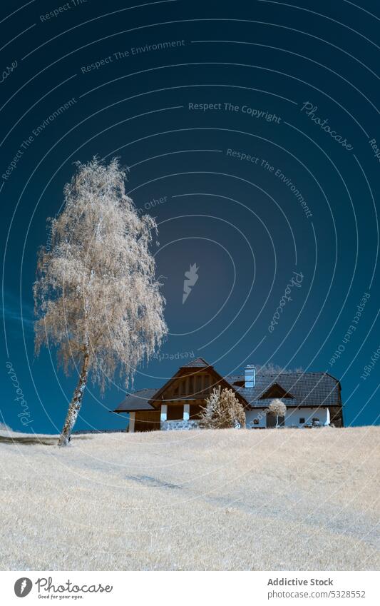 Bäume in der Nähe eines kleinen Hauses Landschaft Hügel Natur ländlich malerisch idyllisch Himmel Cottage Hütte Bruchbude erstaunlich schön majestätisch