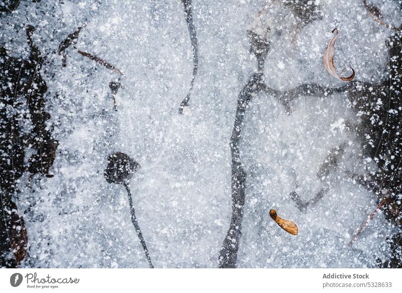 Schnee fällt auf den Boden fallend gefroren Natur Winter kalt weiß Saison Schneesturm Frost Eis schön erstaunlich wunderbar Landschaft Windstille ruhig