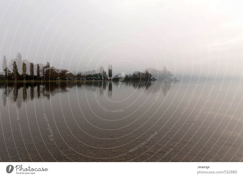 Spiegelungen | Bodensee Lifestyle Stil Umwelt Natur Landschaft Himmel Klima Baum Seeufer außergewöhnlich Stimmung Irritation Doppelbelichtung Horizont Farbfoto