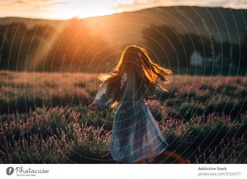 Frau beim Spinnen im Lavendelfeld Blume Feld Sonnenuntergang Blüte Natur Blütezeit Pflanze spinnen Landschaft Sommer Harmonie Flora Rotschopf filigran Garten