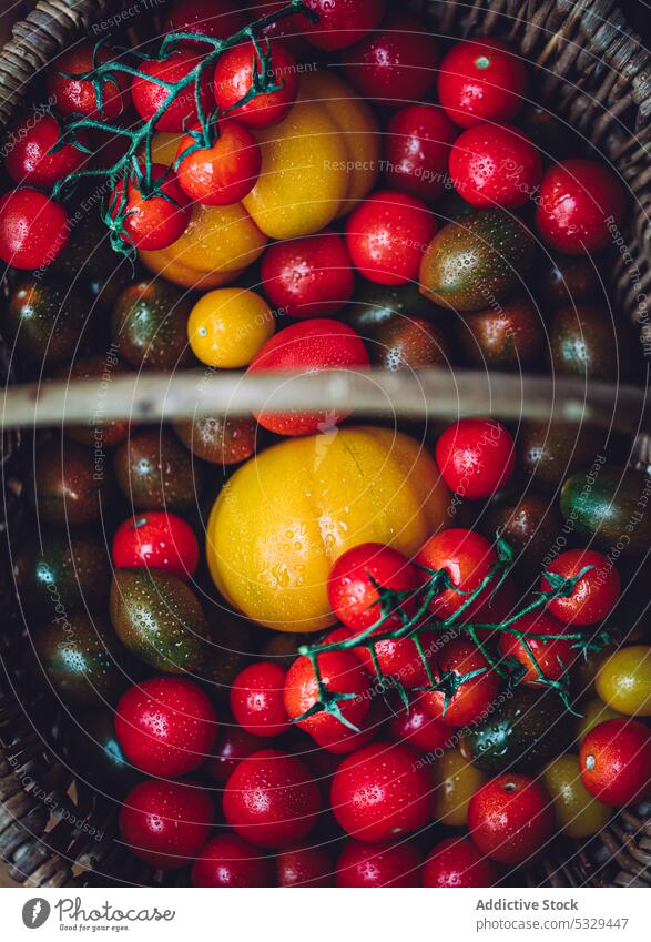 Weidenkorb mit reifen Tomaten auf dem Tisch frisch Korb Gemüse Lebensmittel rot Gesundheit natürlich farbenfroh organisch Vitamin Bestandteil Vegetarier