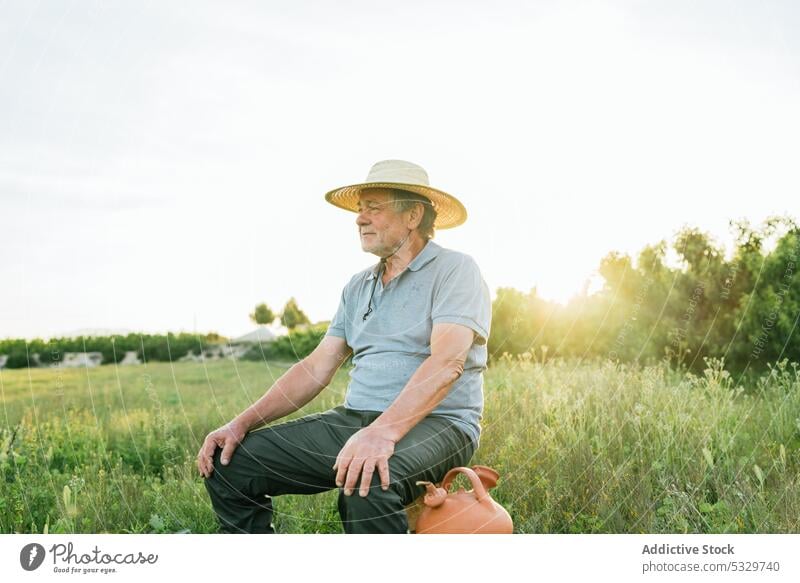 Lächelnder älterer Bauer auf einer Wiese bei Sonnenuntergang Mann Landschaft Landwirt ländlich Natur positiv Ackerbau Bauernhof Schonung männlich Senior Totholz