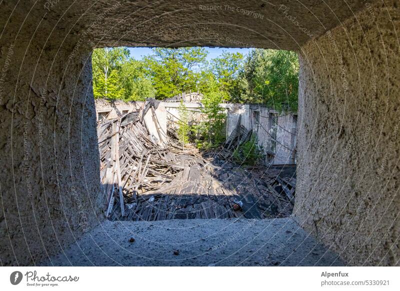 Lost Land Love II Schicht im Schacht Einsturz eingestürzt zerfallen Vergänglichkeit Verfall alt verfallen kaputt Wand Vergangenheit Zerstörung