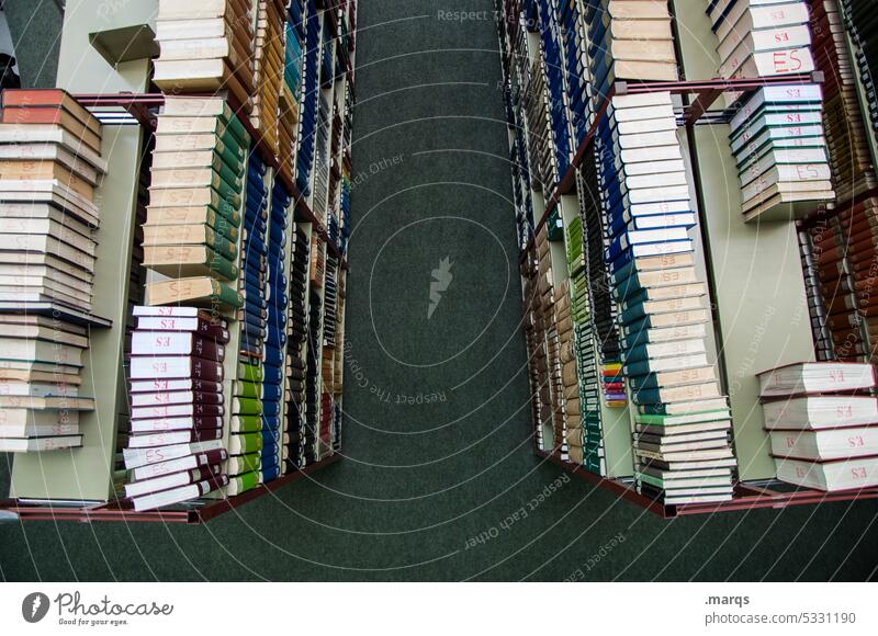 Bibliothek Printmedien Regal viele Schule Prüfung & Examen Universität Antiquariat Gesetze und Verordnungen lernen Erwachsenenbildung Ordnung Buch Studium