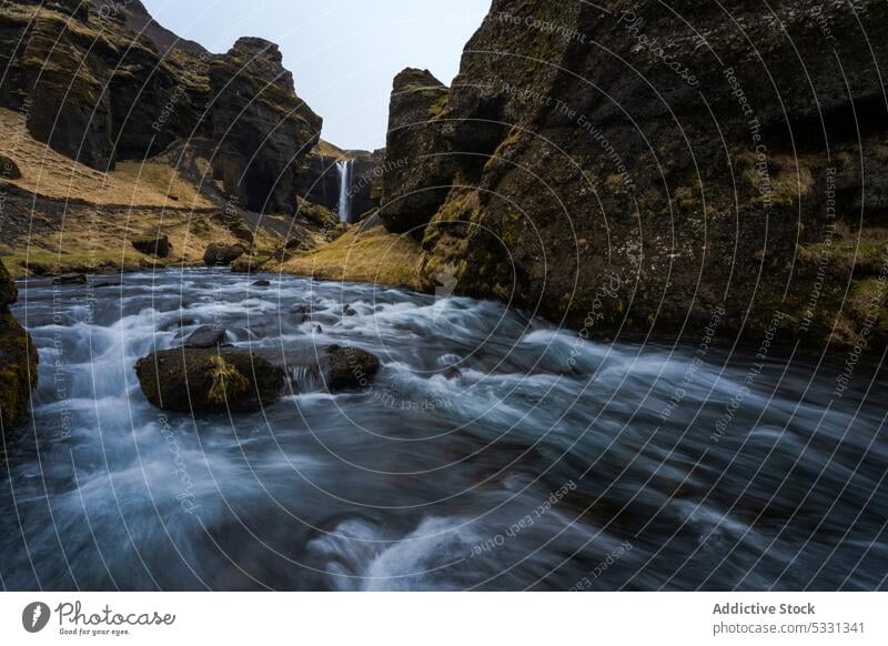 Beeindruckender Wasserfall in felsigem Gelände Landschaft Berge u. Gebirge Wälder Island Wald Seljalandsfoss Felsen fallen kvernufoss fließen strömen Natur