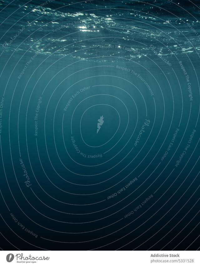 Ruhige Unterwasserszene mit Sonnenlicht Meer MEER tief unter Wasser unterseeisch tropisch türkis Sommer Rippeln Hintergrund marin winken Natur Meereslandschaft