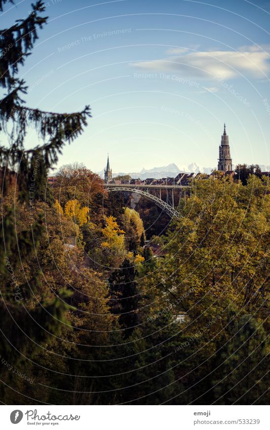 Bern Umwelt Natur Landschaft Sommer Schönes Wetter Wald Stadt Hauptstadt Altstadt Skyline natürlich grün Farbfoto Außenaufnahme Menschenleer Tag Totale