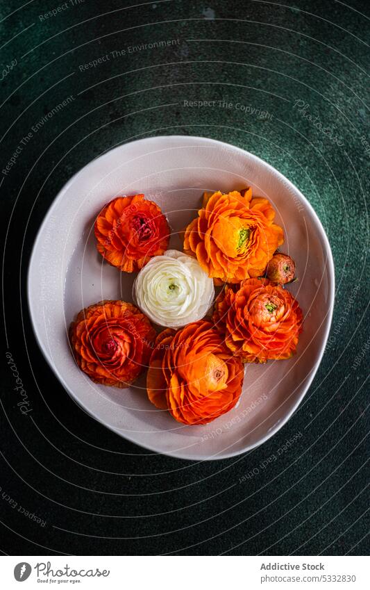 Innendekoration mit Schale voller Ranunkeln Blume Blüte Schalen & Schüsseln nach dem Regen aromatisch Hintergrund schön Blütezeit Blütenknospen Postkarte