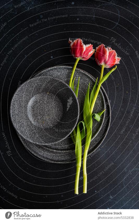 Gedeckter Tisch mit Blumen der Saison auf Betonhintergrund Tulpe Kulisse Hintergrund Essgeschirr schön Keramik Besteck dunkel tagsüber Abendessen Essen festlich