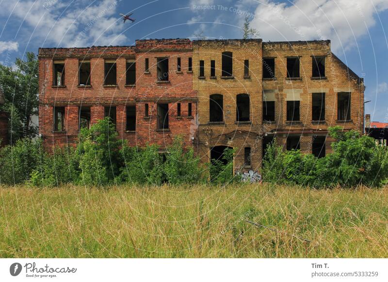 ein leeres Haus Leipzig Flugzeug Ruine Farbfoto Menschenleer Architektur Tag Himmel Außenaufnahme Gebäude Fenster alt Fassade Vergänglichkeit Verfall kaputt