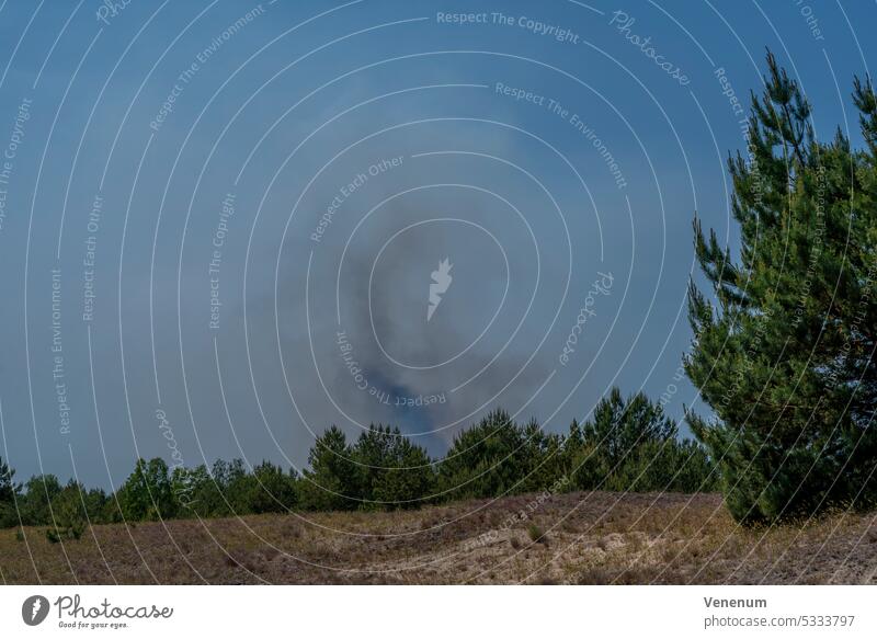 Zwischen Jüterbog und Felgentreu , 4. Juni 2023 , Deutschland, tagelanger großer Waldbrand auf dem ehemaligen Militärgelände, das heute ein Naturschutzgebiet ist, 150 Hektar sind in den letzten Tagen bereits abgebrannt