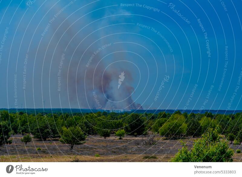 Zwischen Jüterbog und Felgentreu , 4. Juni 2023 , Deutschland, tagelanger großer Waldbrand auf dem ehemaligen Militärgelände, das heute ein Naturschutzgebiet ist, 150 Hektar sind in den letzten Tagen bereits abgebrannt