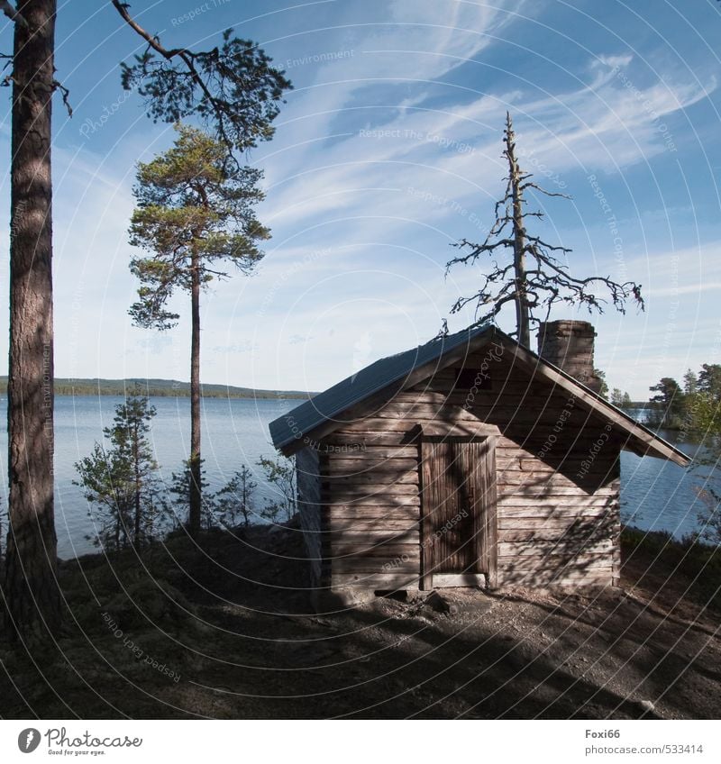 Schattenspiele Ferien & Urlaub & Reisen Abenteuer Ferne Sommerurlaub Landschaft Himmel Wolken Schönes Wetter Baum Sträucher Wald Seeufer Schweden Menschenleer