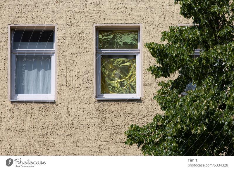 Fenster mit Sonnenschutz Berlin sonnenschutz Baum Fassade Haus Architektur Gebäude Menschenleer Stadt Außenaufnahme Hauptstadt Stadtzentrum Himmel Licht Tag