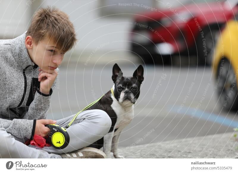 Junge mit Hund Hunderasse Hundeblick Freude Mann und Hund Mensch Boston Terrier französische Bulldogge Freizeit hübsch Tier Säugetier Freundschaft Liebe