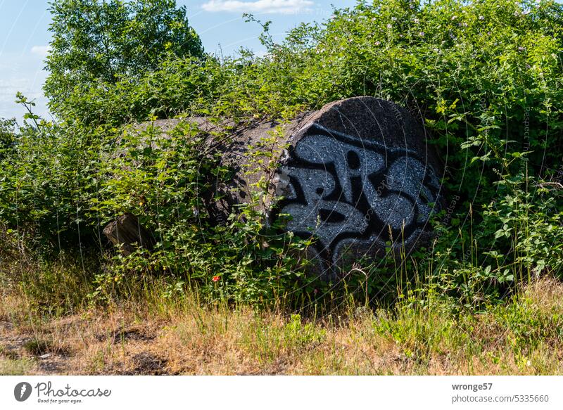 Einzelschutzraum Schutzraum zugewachsen alt Einmann-Luftschutzbunker, Splitterschutzzellen SSZ Luftschutzzelle Brandwachstand Krieg Zerstörung Vergangenheit