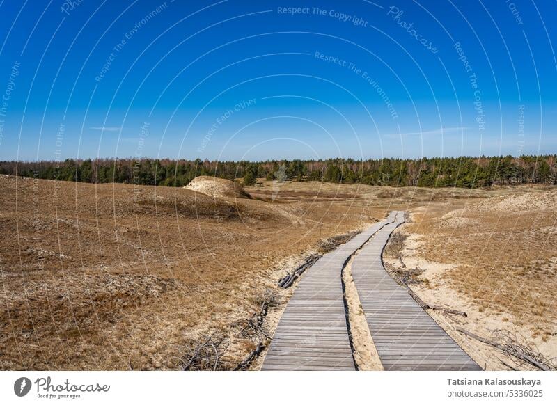 Holzsteg auf den Toten Dünen oder Grauen Dünen, Kurische Nehrung, Neringa, Litauen Tote Dünen hölzern Fußweg graue Dünen Dunes wüst Sand Wind Erosion Landschaft