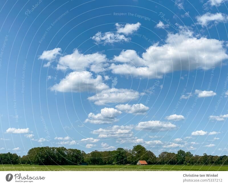 Endlich Sommer Himmel Sommerhimmel Wald Acker Hütte rotes Dach Wolken Landschaft Schönes Wetter Münsterland Schönwetterwolken Natur Umwelt blau Bäume Feld