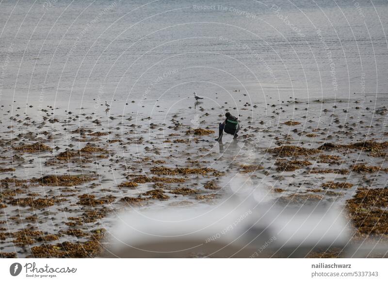 am Strand Horizont Seeküste Wolkenlandschaft Expedition Land Landschaft Freiheit Wildnis laufen Glückseligkeit Reiseziele erkunden entdecken robust reisend