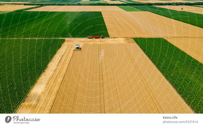 Luftaufnahme auf Mähdrescher, Erntemaschine, erntereifes Getreide oben Antenne Ackerbau Müsli Land Bodenbearbeitung geschnitten trocknen Staubwischen staubig