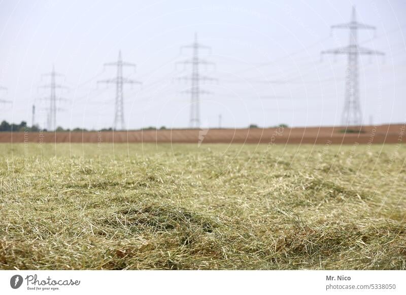 Heu trocknen ländlich Feld Umwelt Landschaft Ackerbau Tierfutter Nutzpflanze Heu machen Ernte Gras Heuernte Nadel im Heuhaufen grün frisch Landleben