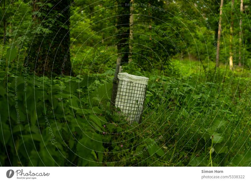 Müllbehälter im Wald sauber halten wegwerfen Naturschutz Abfall Abfalleimer Verschmutzung Konzept Waldschutz Umweltverschmutzung Umweltschutz Fremdkörper