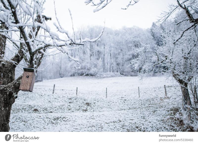 Winterliche Landschaft mit Vogelhäuschen Schnee Natur Außenaufnahme Park füttern Winteridylle Menschenleer kalt Hang Wald Waldrand Wintertag Schneelandschaft