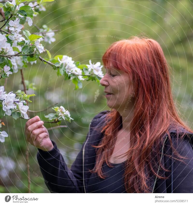 MainFux | Naturfreundin Blüte Frühling Frau rothaarig Naturliebhaberin Apfelbaum Blüten Duft grün weiß Erwachsene feminin Mensch Garten schön positiv Forscherin