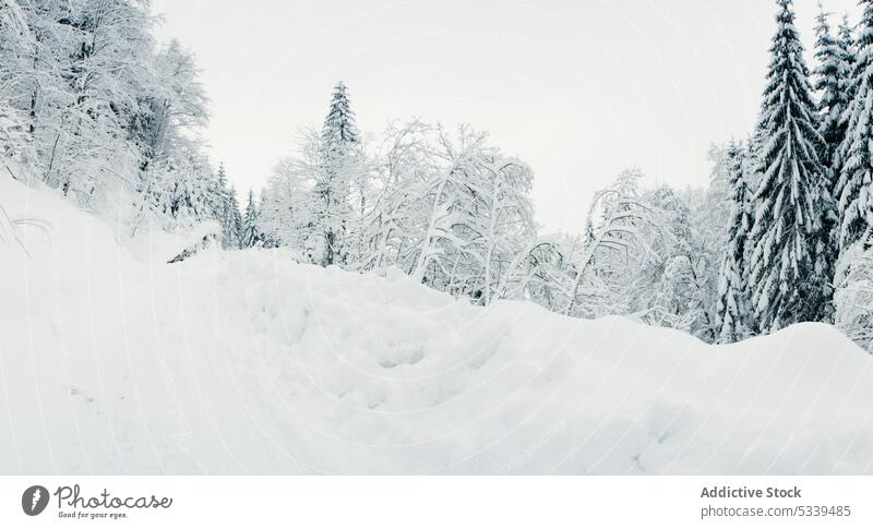 Verschneite Landschaft kalt Cloud Eis Berge u. Gebirge verschneite Frost schön Winter weiß Schnee Natur reisen Wetter bedeckt Wald malerisch Highlands Holz