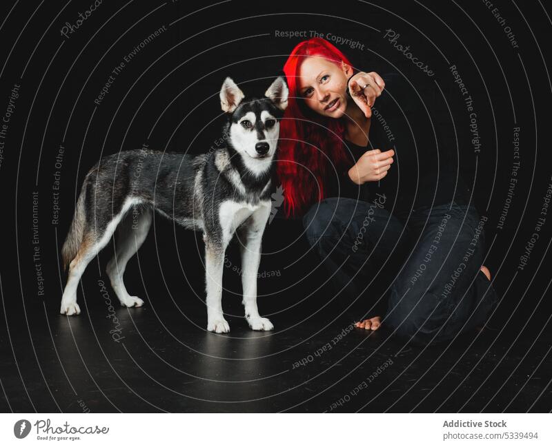 Fröhliche Frau mit Siberian Husky im Studio Atelier roter Kopf Hund Welpe rote Haare Spaß haben Haustier Lächeln jung Glück Tier heimisch Freund Besitzer