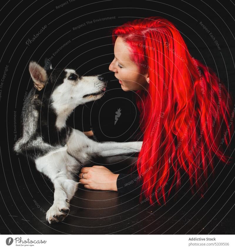 Fröhliche Frau mit Siberian Husky im Studio Atelier roter Kopf Hund Welpe rote Haare Spaß haben Haustier Lächeln jung Glück Tier heimisch Freund Besitzer