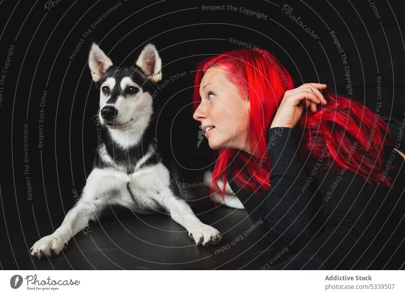 Fröhliche Frau mit Siberian Husky im Studio Atelier roter Kopf Hund Welpe rote Haare Spaß haben Haustier Lächeln jung Glück Tier heimisch Freund Besitzer