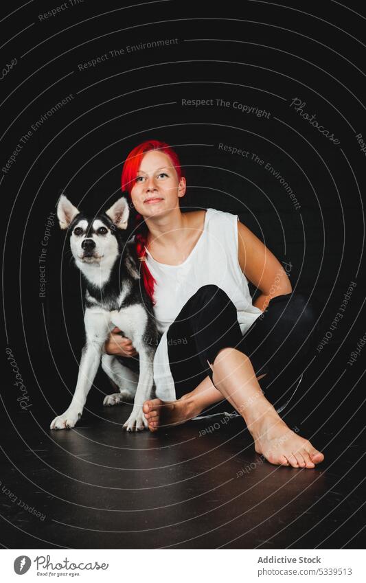 Fröhliche Frau mit Siberian Husky im Studio Atelier roter Kopf Hund Welpe rote Haare Spaß haben Haustier Lächeln jung Glück Tier heimisch Freund Besitzer