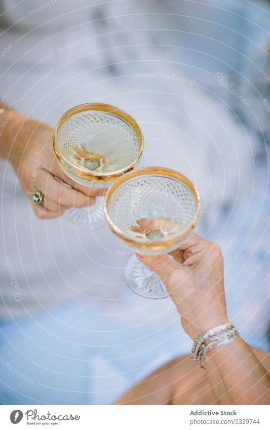 Crop-Frauen stoßen beim Picknick auf Gläser an Klirren Freund Natur Sommer jubelt Champagne Zuprosten Wiese Rasen trinken Gras Freundschaft Alkohol Decke feiern