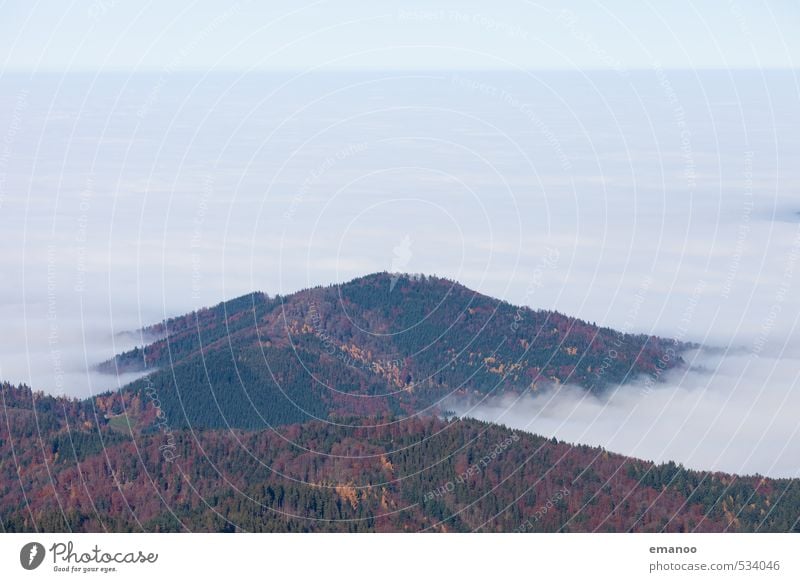 Schwarzwaldnebel Ferien & Urlaub & Reisen Ausflug Ferne Freiheit Berge u. Gebirge wandern Natur Landschaft Luft Wasser Himmel Wolken Herbst Klima Wetter Nebel