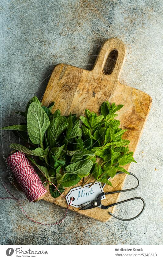 Frische küchenfertige Minzpflanze Hintergrund binden Blumenstrauß Koch Essen zubereiten Schneidebrett Diät essen Lebensmittel frisch grün Gesundheit heiß Keton